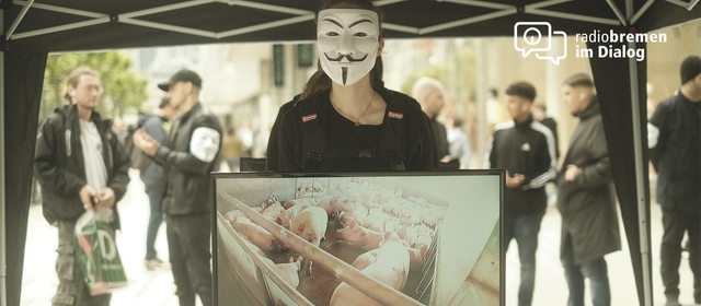 Ein Mann mit Maske hält ein Foto hoch mit vielen Schweinen in einem kleinen Stall.